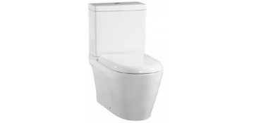 Desatascar baños (WC)